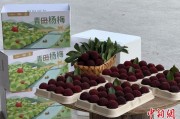 梦见买鸡高速赋能产业升级：一条“杨梅路”的致富密码